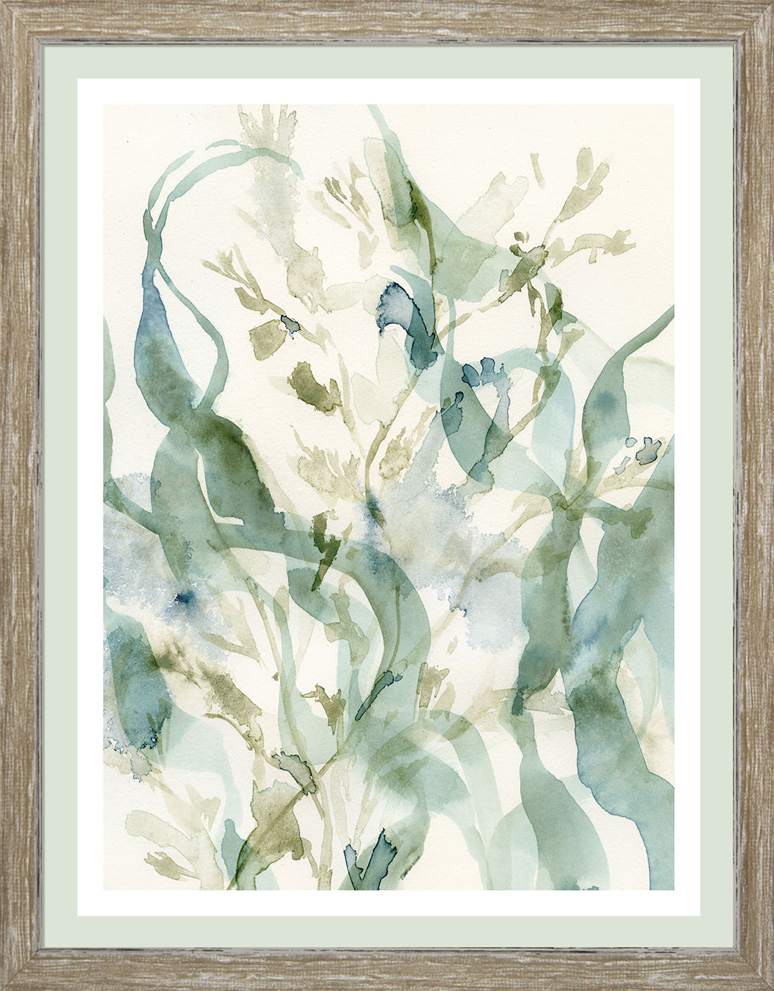 UNDERWATER BOTANY I