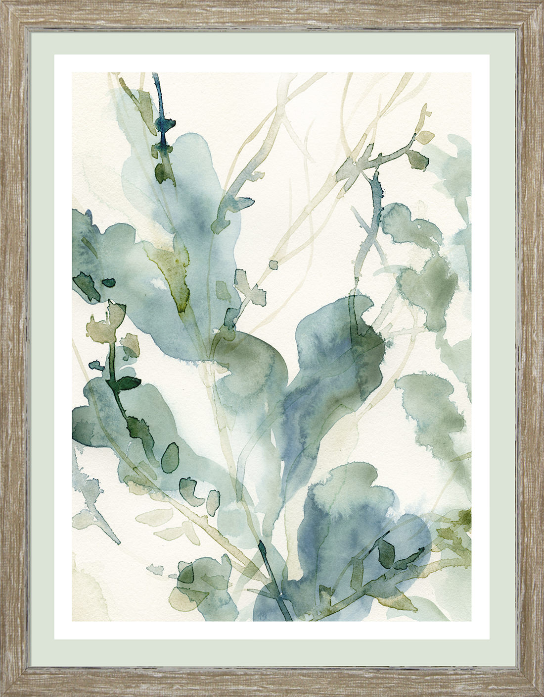 UNDERWATER BOTANY II