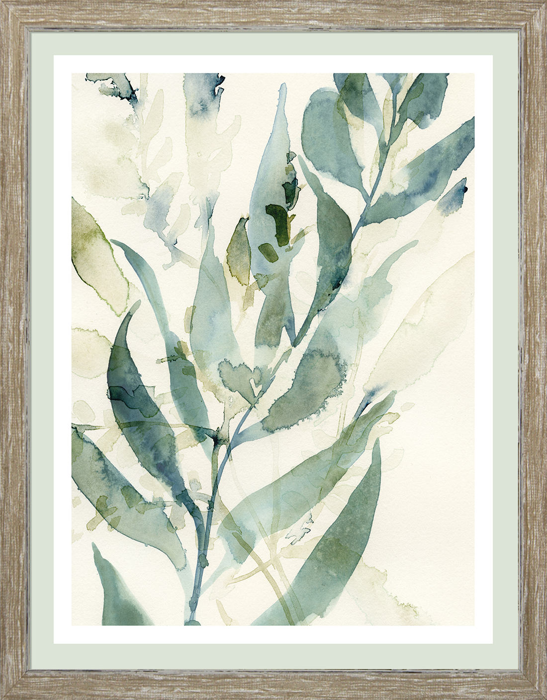 UNDERWATER BOTANY III