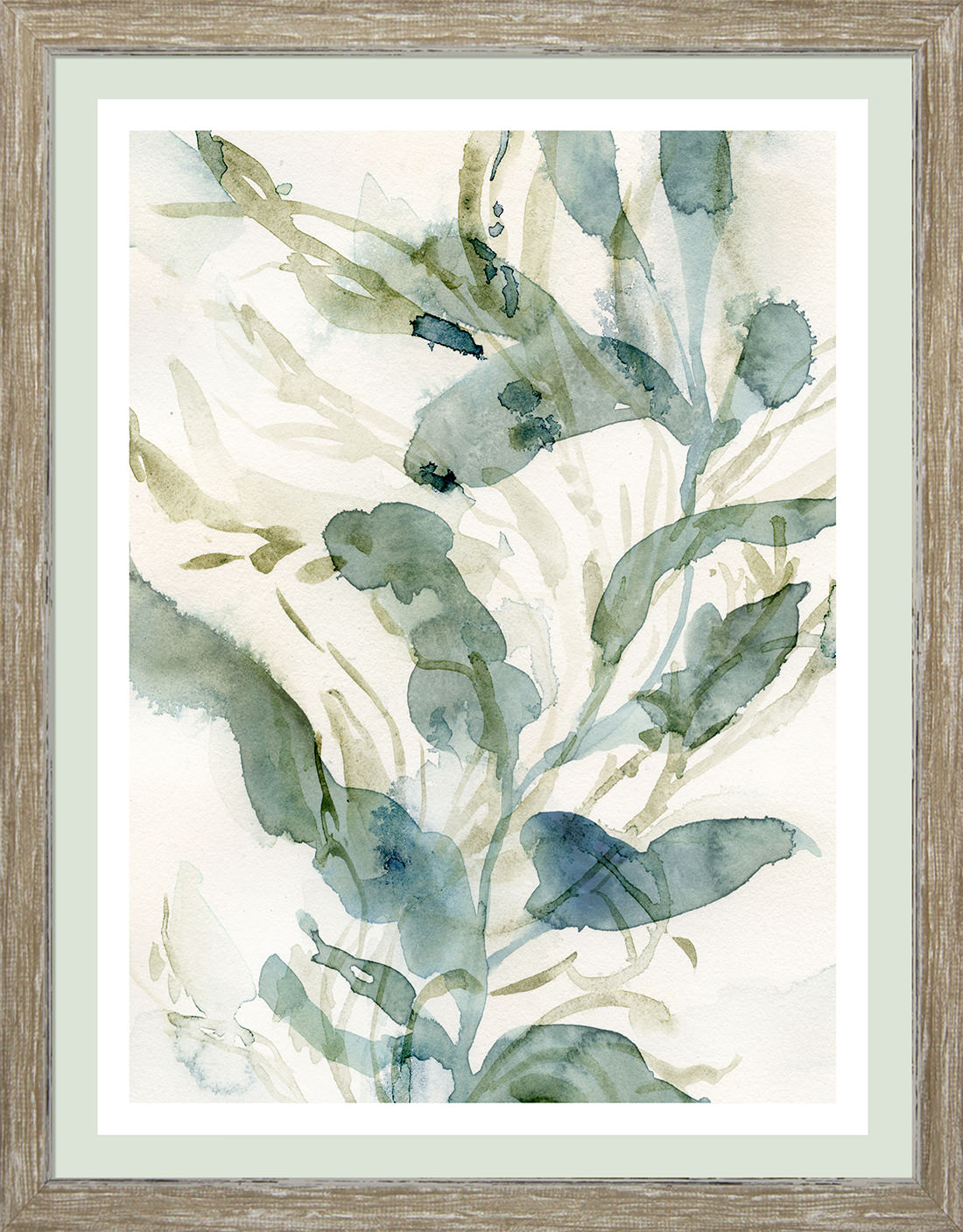 UNDERWATER BOTANY IV